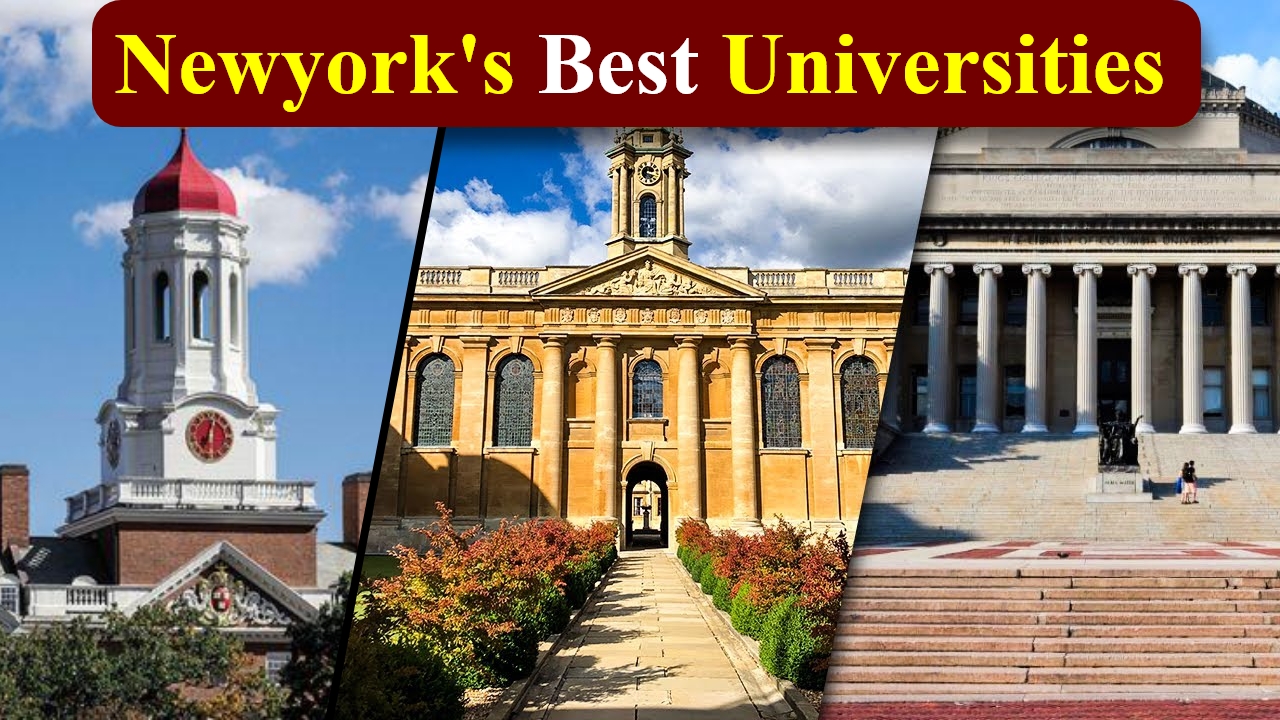 Best University in New York